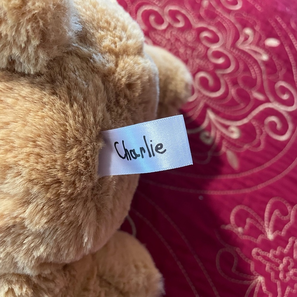 Charlie the Bear Stuffed Animal. - Picture 3 of 4